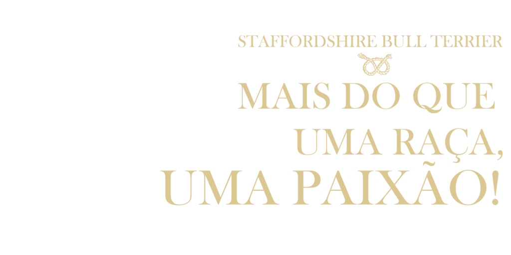 Sem Titulo 1 Recuperado Recuperado Recuperado3 1